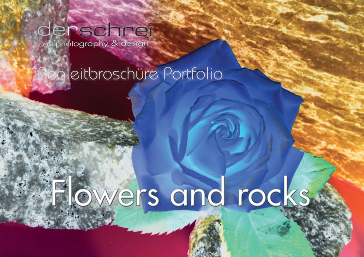 Fowers and Rocks